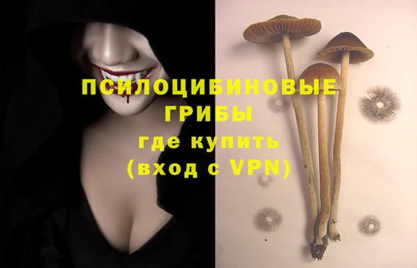 Альфа ПВП Белоозёрский
